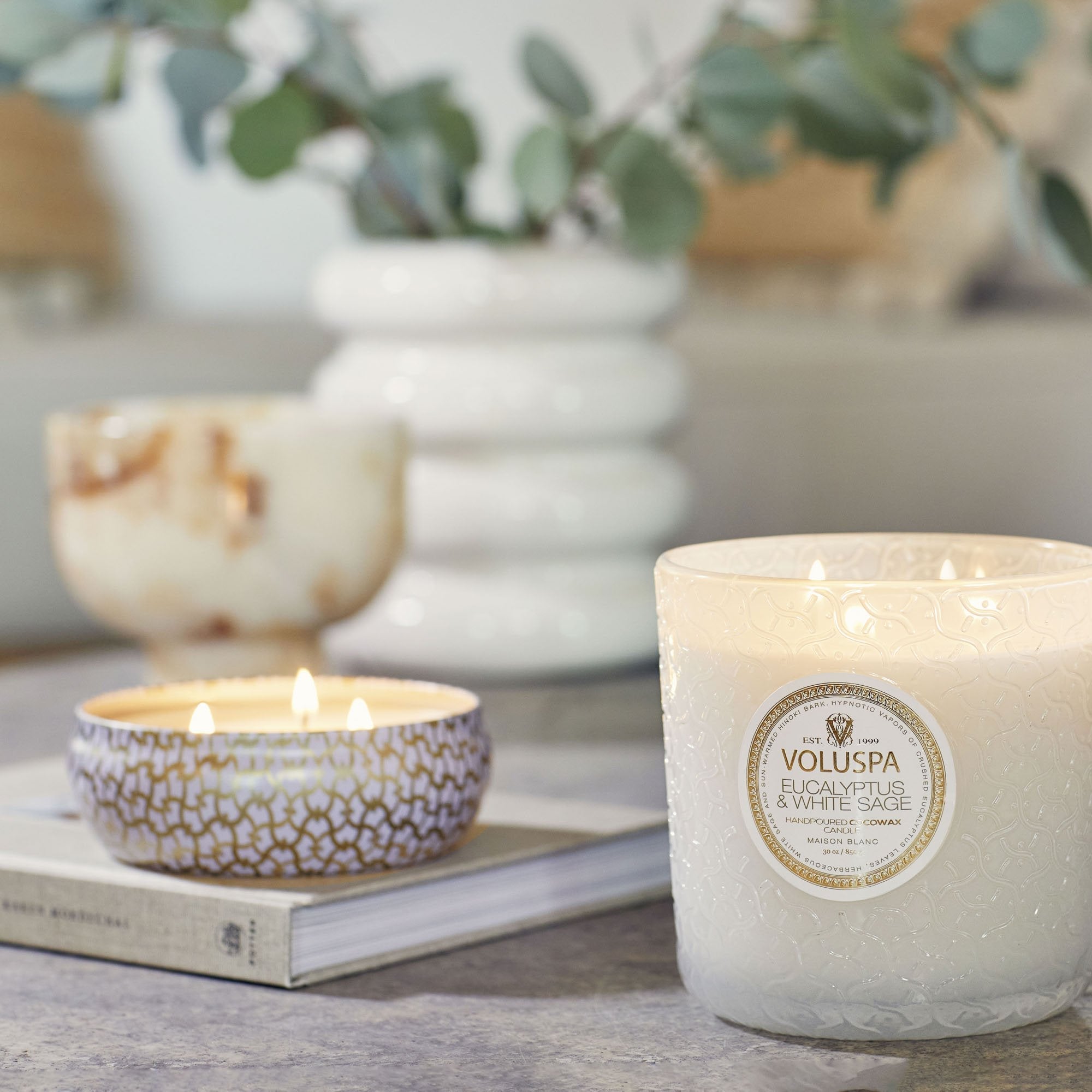 Eucalyptus & White Sage - Luxe Candle - Image 2
