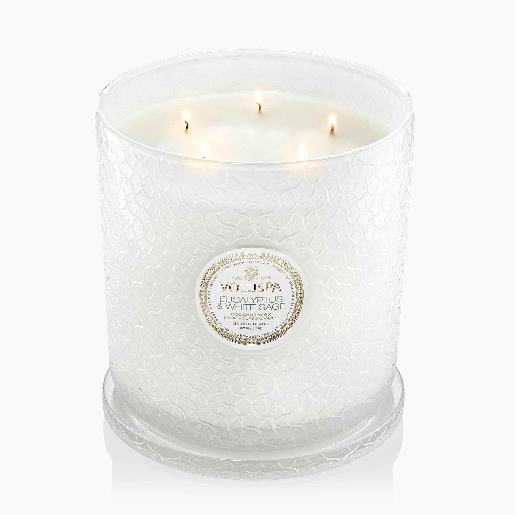 Eucalyptus & White Sage - 5 Wick Hearth Candle - Image 4