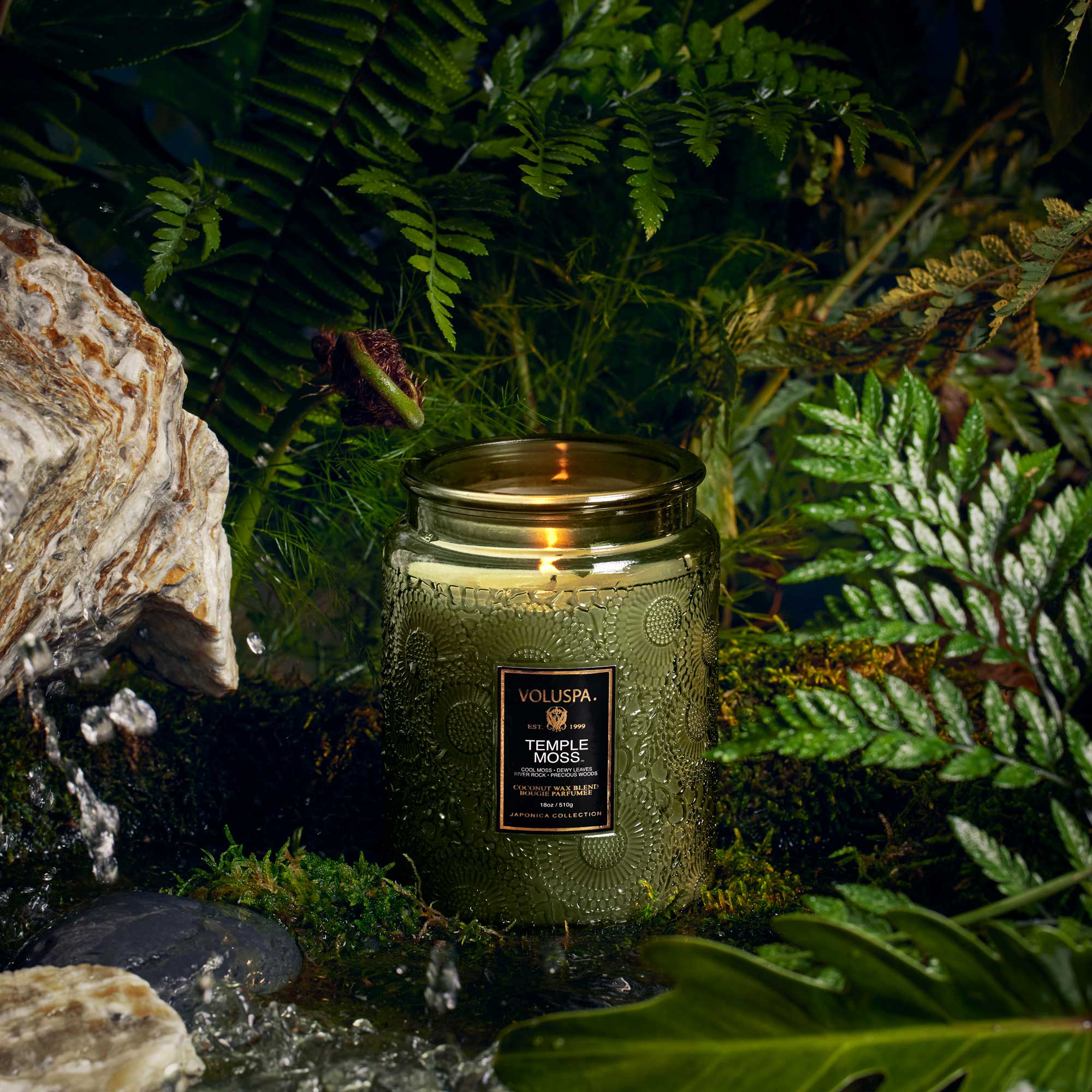 Temple Moss - Large Jar Candle - Image 4