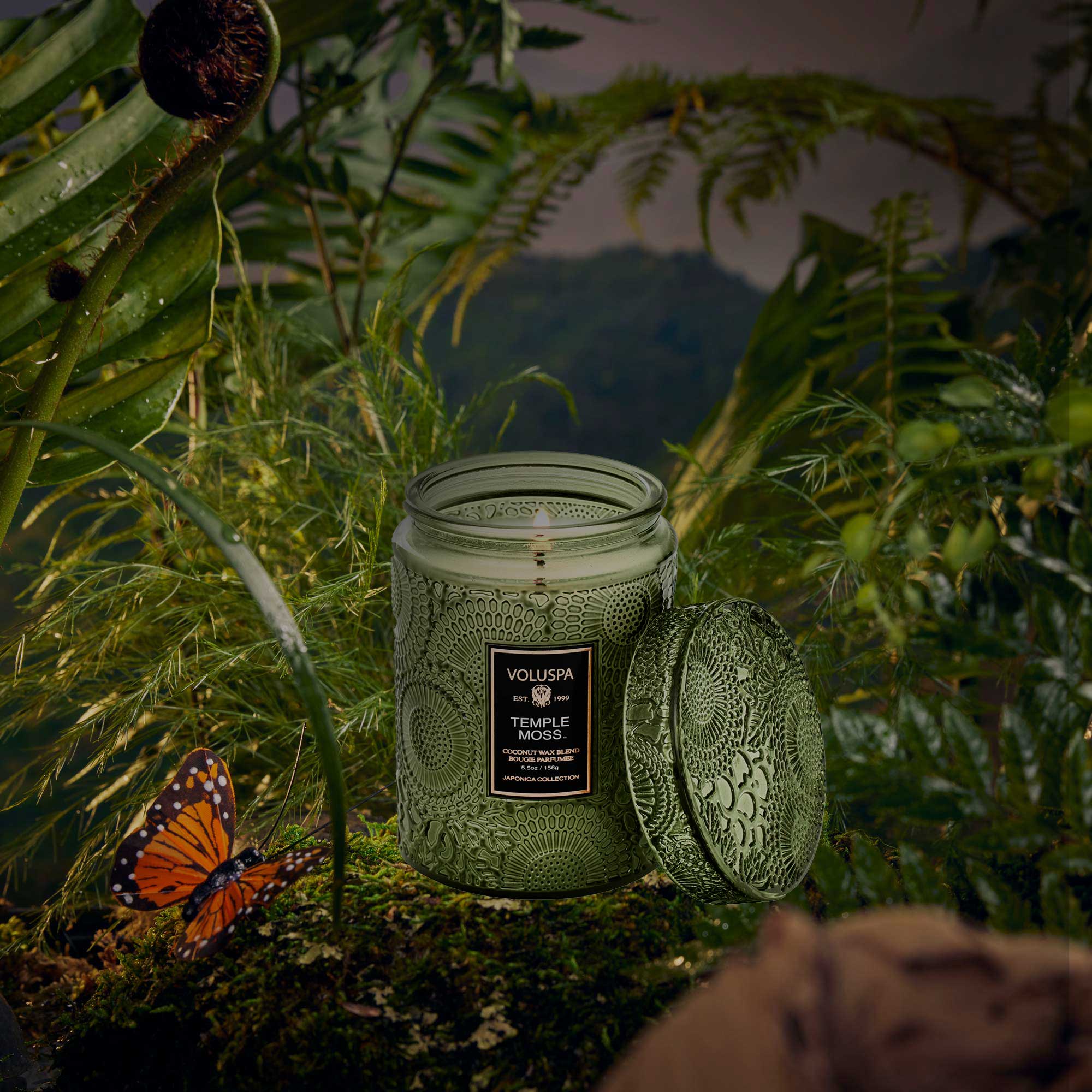 Temple Moss - Small Jar Candle - Image 2