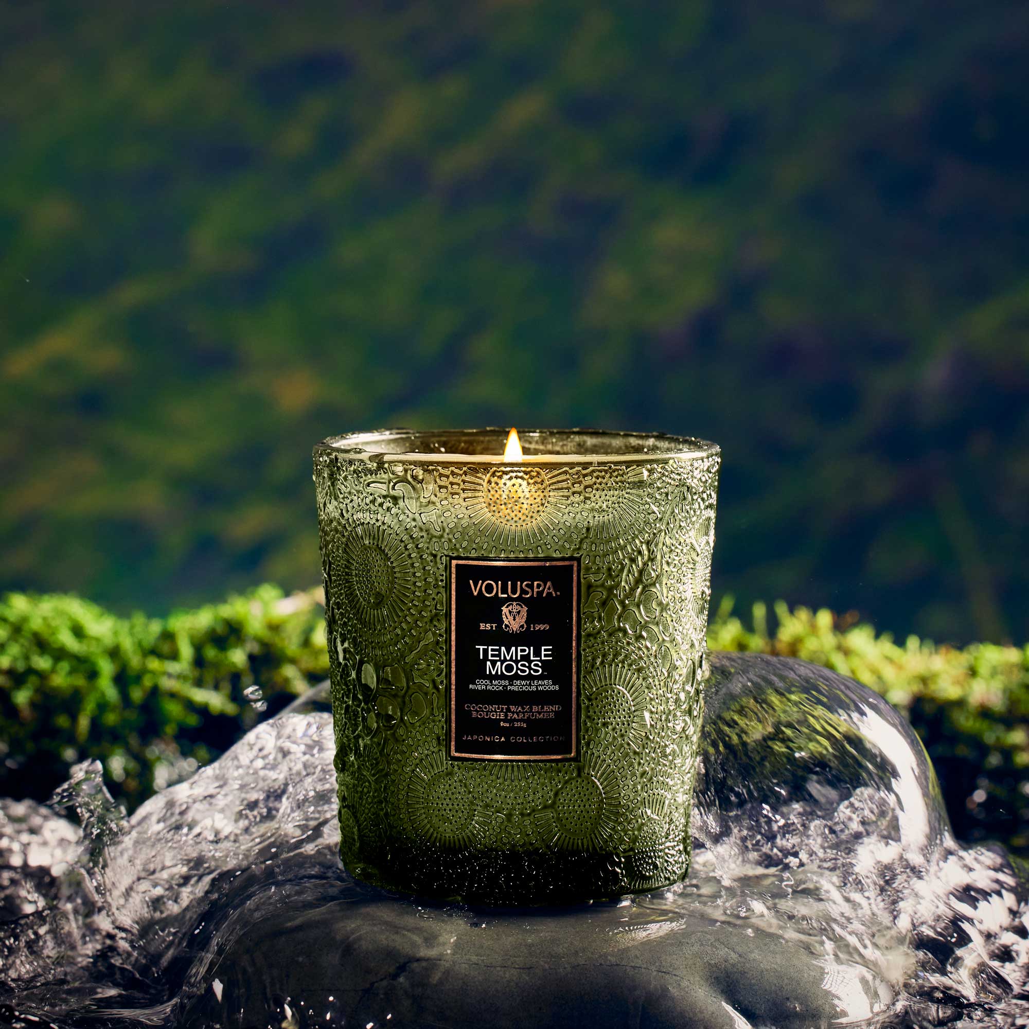 Temple Moss - Classic Candle - Image 3