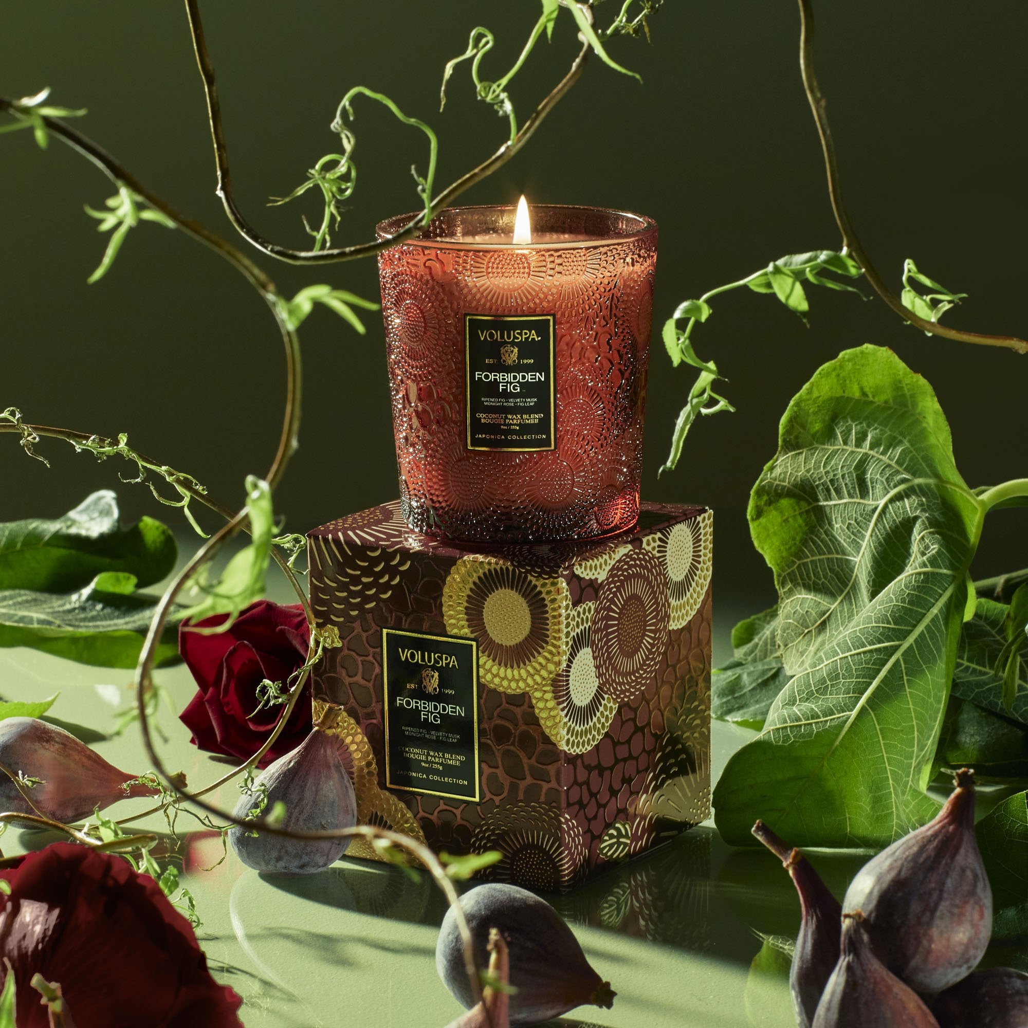 Forbidden Fig - Classic Candle - Image 2