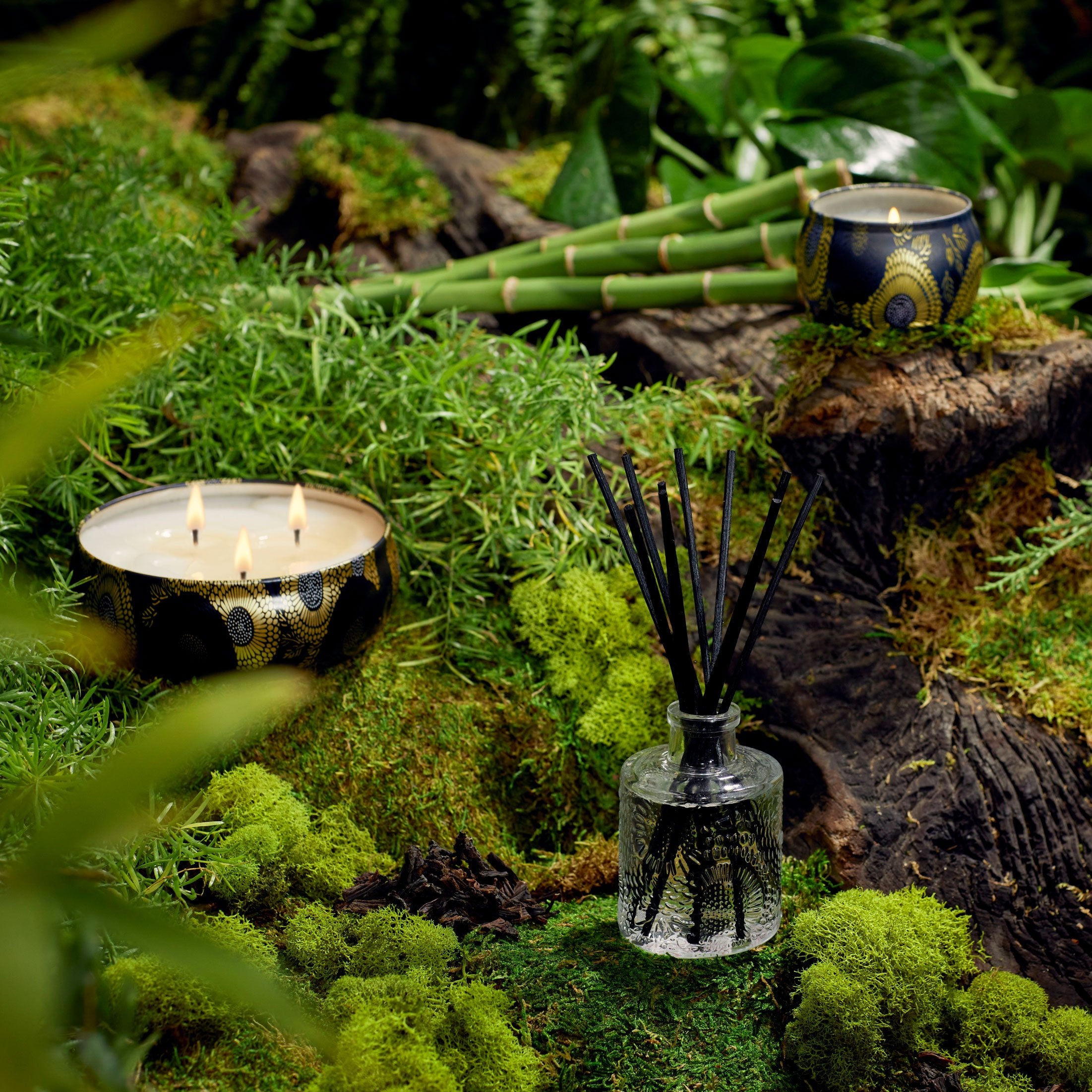 Moso Bamboo - Reed Diffuser - Image 2