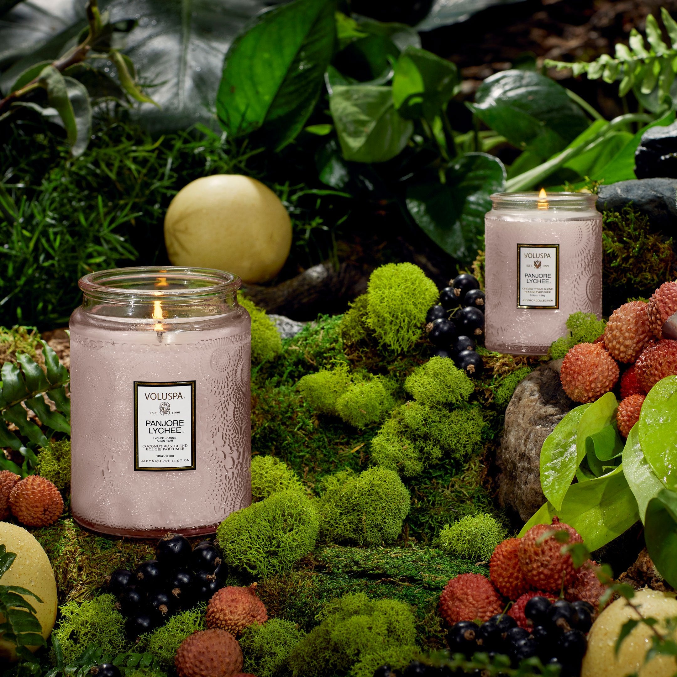 Panjore Lychee - Large Jar Candle - Image 2