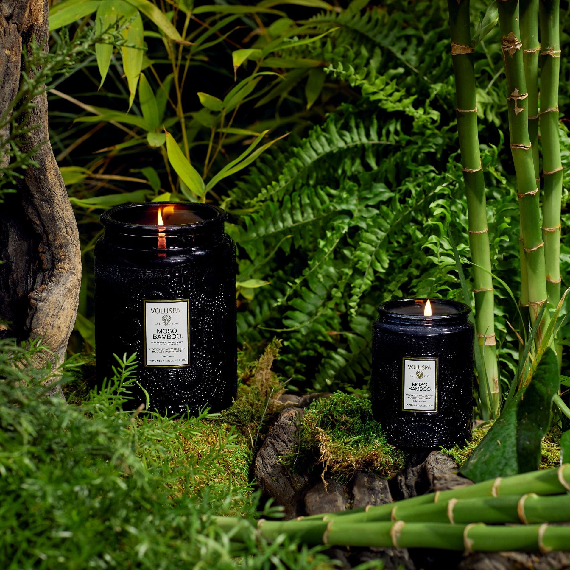 Moso Bamboo - Large Jar Candle - Image 2