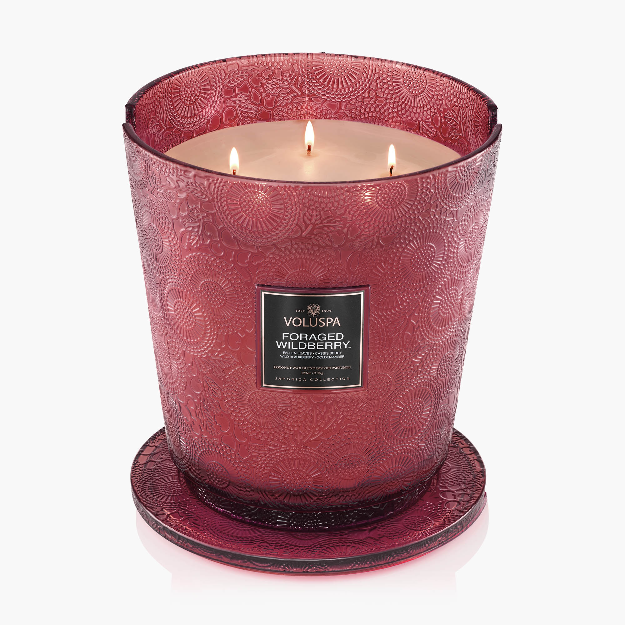 Foraged Wildberry - 5 Wick Hearth Candle - Image 4