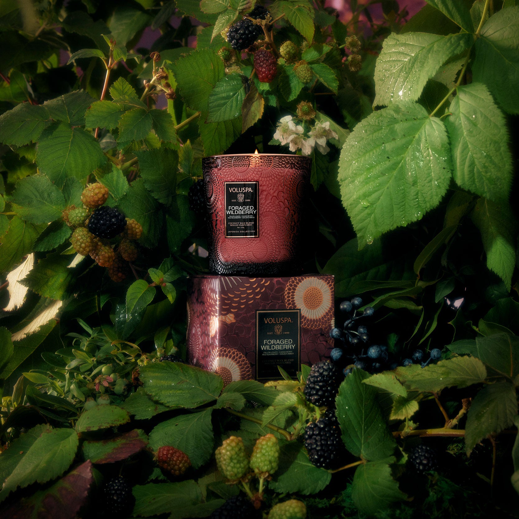 Foraged Wildberry - Classic Candle - Image 2