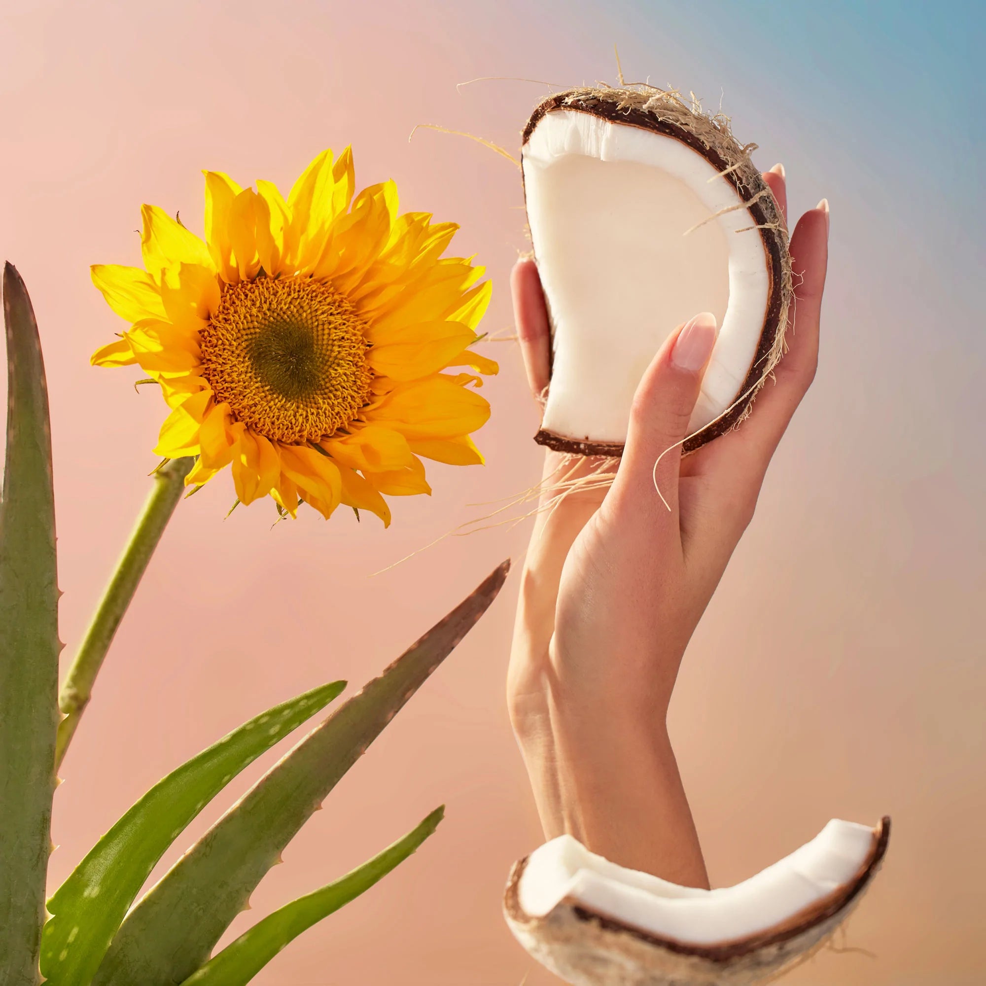 Eucalyptus & White Sage - Hand Lotion - Image 4