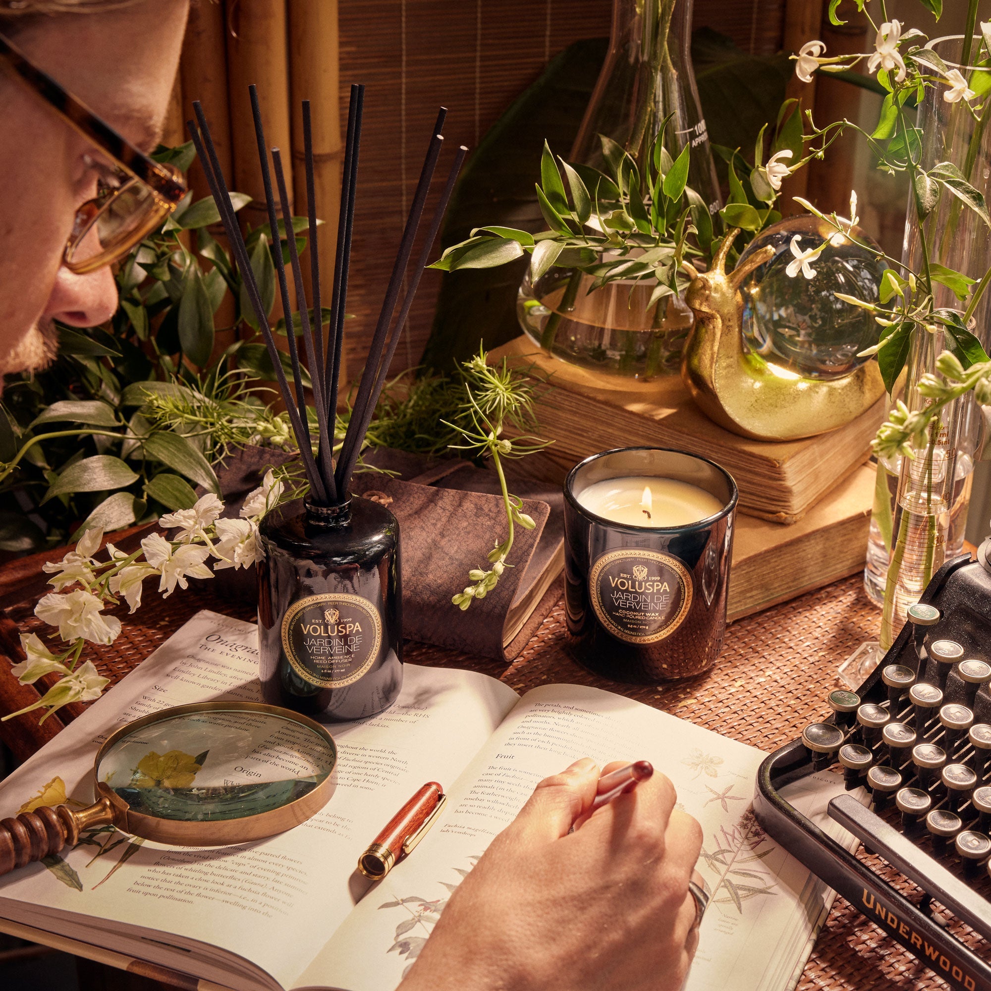 Jardin De Verveine - Classic Candle - Image 4